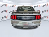 Used 2019 Ford Mustang Coupe w/ Ecoboost Performance Package image 4