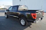 Used 2023 Ford F150 XLT image 5