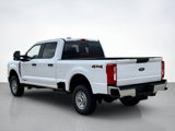 New 2025 Ford F250 XL image 5