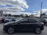 Used 2020 Ford Escape SEL image 5