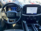 Used 2021 Ford F150 XLT w/ Equipment Group 302A High image 2