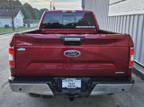 Used 2018 Ford F150 XLT w/ Equipment Group 302A Luxury image 4