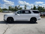 New 2025 Hyundai Palisade Calligraphy image 4