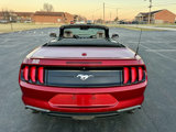 Used 2019 Ford Mustang Premium w/ Equipment Group 201A image 5