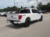 Certified 2023 Ford F150 XLT w/ Equipment Group 302A High image 3