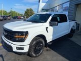 New 2025 Ford F150 XLT image 2