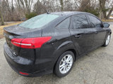 Used 2016 Ford Focus SE w/ SE Power Seat Package image 4