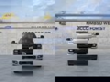 New 2025 Ford F250 Platinum image 2