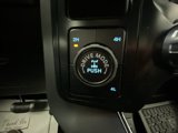 New 2025 Ford F150 XLT w/ Equipment Group 303A High image 5