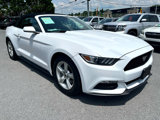 Used 2017 Ford Mustang Convertible image 4