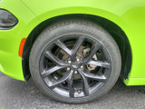Used 2023 Dodge Charger SXT w/ Blacktop Package image 5