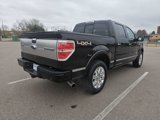 Used 2013 Ford F150 Platinum image 5