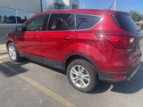 Used 2019 Ford Escape SE image 6