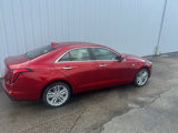 New 2025 Cadillac CT4 Premium Luxury image 2