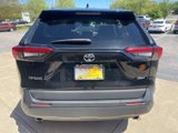 Used 2023 Toyota RAV4 XLE image 5