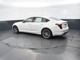 New 2026 Cadillac CT5 Premium Luxury w/ Technology Package image 3