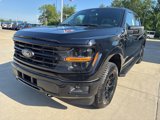 New 2025 Ford F150 XLT image 2