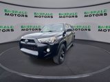 Used 2017 Toyota 4Runner SR5 Premium image 4