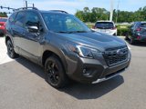 Certified 2024 Subaru Forester Wilderness w/ Wilderness Package image 3
