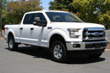 Used 2017 Ford F150 XLT w/ Equipment Group 301A Mid image 2