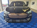 New 2025 Ford Mustang Mach-E GT w/ Bronze Appearance Package image 2