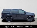 Used 2022 Cadillac Escalade Sport Platinum w/ LPO, ONYX Package image 2