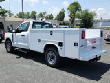 New 2025 Ford F350 XL w/ XL Chrome Package image 5