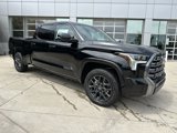 New 2025 Toyota Tundra Platinum image 2