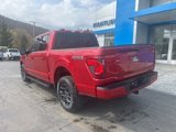 New 2025 Ford F150 XLT w/ Equipment Group 302A MID image 5