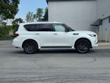 Certified 2024 INFINITI QX80 Sensory image 2