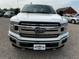 Used 2019 Ford F150 XLT w/ Equipment Group 302A Luxury image 3
