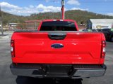 Used 2019 Ford F150 XLT w/ Equipment Group 302A Luxury image 5