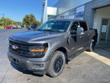 New 2025 Ford F150 XLT image 2