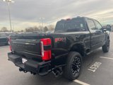 New 2025 Ford F250 Platinum image 5