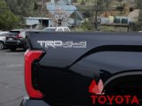 New 2025 Toyota Tundra 1794 Edition image 3