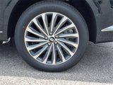 New 2025 Hyundai Palisade Calligraphy image 6