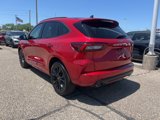 Certified 2024 Ford Escape ST-Line Elite w/ Premium Technology Package image 6