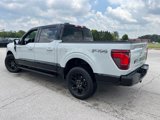 Used 2024 Ford F150 XLT w/ Equipment Group 303A High image 4