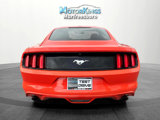 Used 2015 Ford Mustang Coupe w/ Ecoboost Performance Package image 4