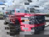 New 2025 Ford F150 XLT w/ Equipment Group 302A MID image 3