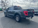 Certified 2021 Ford F150 XLT w/ Equipment Group 302A High image 3