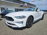 Used 2020 Ford Mustang Premium image 3