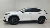 Used 2025 Lexus NX 450h+ AWD w/ Luxury Package image 3