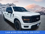 New 2025 Ford F150 STX image 1