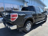 Used 2010 Ford F150 XL image 5