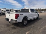 Used 2024 Ford F150 XLT image 5
