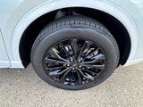 New 2025 Ford Escape ST-Line Elite w/ Premium Technology Package image 5