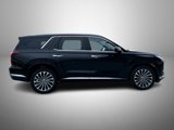 New 2025 Hyundai Palisade Calligraphy image 4