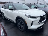 New 2025 INFINITI QX60 Autograph w/ Cargo Package image 2
