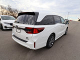 New 2025 Honda Odyssey Touring image 5